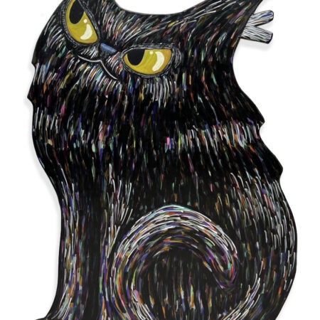 Cat #24: Airplane Cat